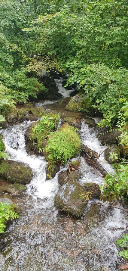 Black Forest Kuckucksnest Schönwald Ngoại thất bức ảnh