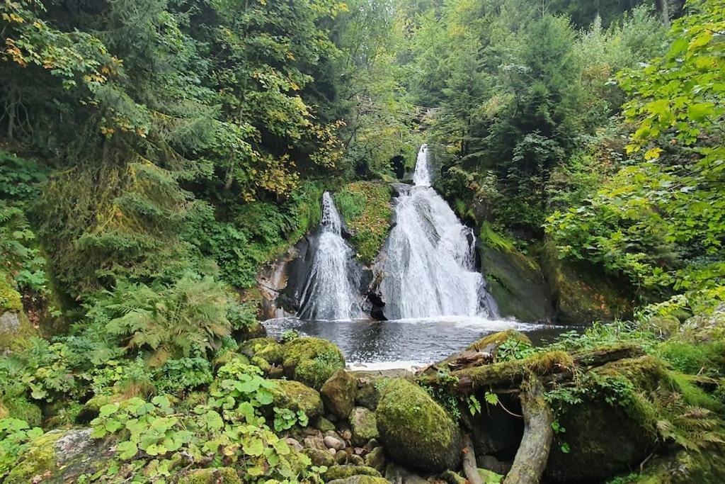 Black Forest Kuckucksnest Schönwald Ngoại thất bức ảnh